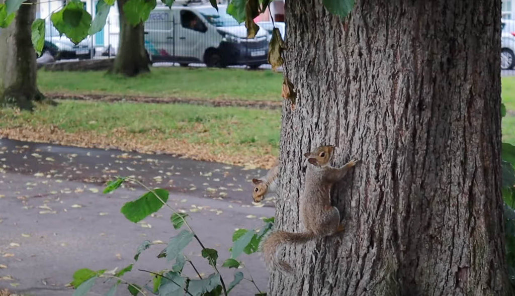 We've Started Vlogging!